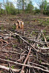 Similar image 887602