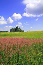 Similar image 887614