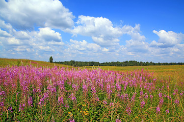 Similar image 887616