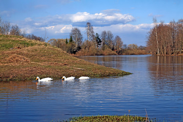 Similar image 887656