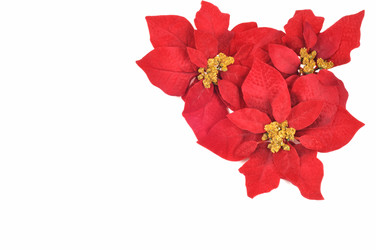 Similar image 887721