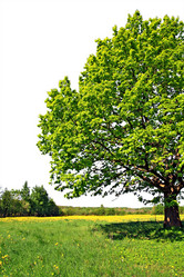 Similar image 887742