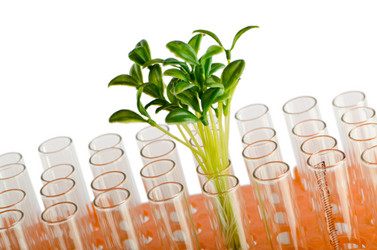 Similar image 887821