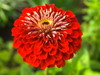 Similar image 887956