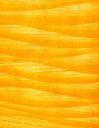 Similar image 888094