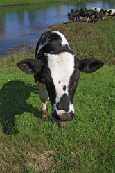 Similar image 888131