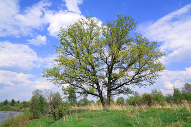 Similar image 888147