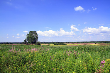 Similar image 888149