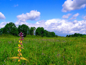 Similar image 888152