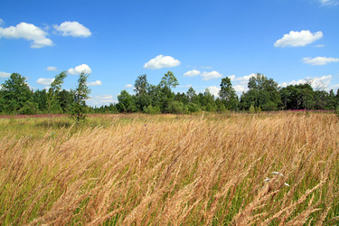 Similar image 888155