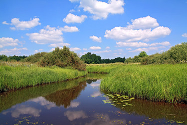 Similar image 888170