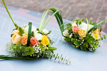 Similar image 888180