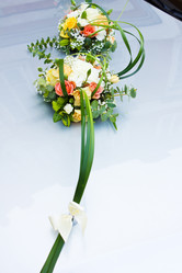 Similar image 888182