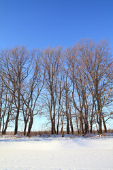 Similar image 888183