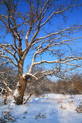 Similar image 888185