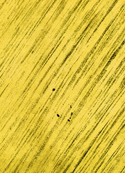 Similar image 888205