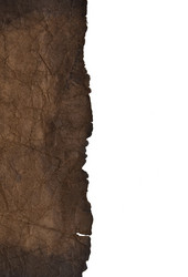 Similar image 888219