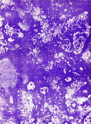 Similar image 888298