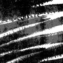 Similar image 888324