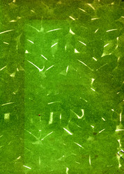 Similar image 888344