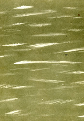 Similar image 888418