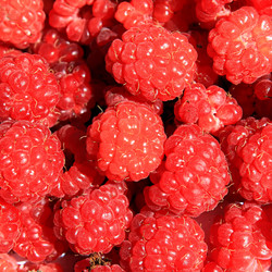 Similar image 888455