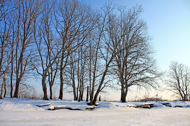 Similar image 888480