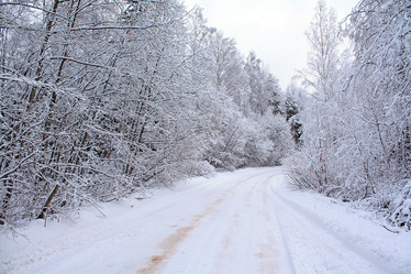 Similar image 888490