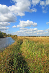 Similar image 888493