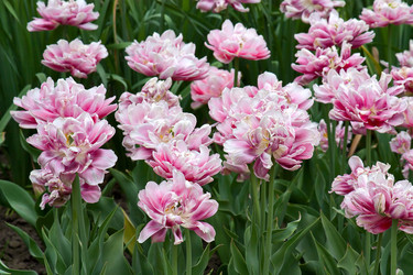 Similar image 888506