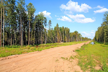 Similar image 888508