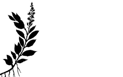 Similar image 888526