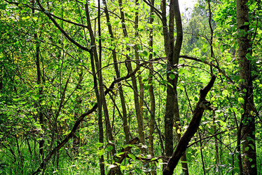 Similar image 888541