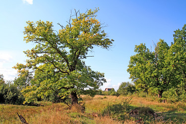 Similar image 888542