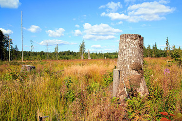 Similar image 888543