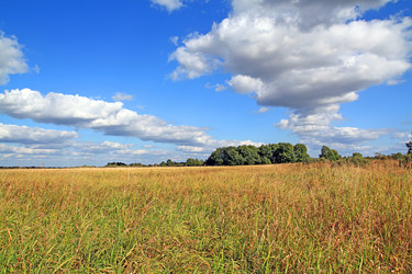 Similar image 888548