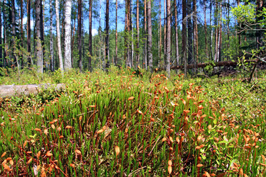 Similar image 888567