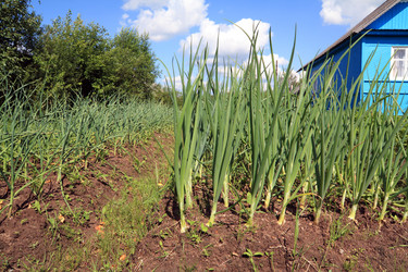 Similar image 888573