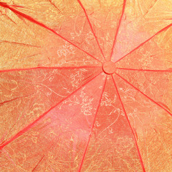 Similar image 888589