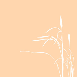 Similar image 888594