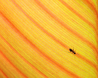 Similar image 888598