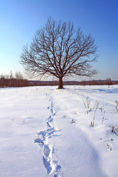 Similar image 888612