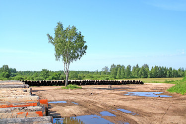 Similar image 888613