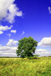 Similar image 888623