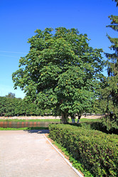 Similar image 888626