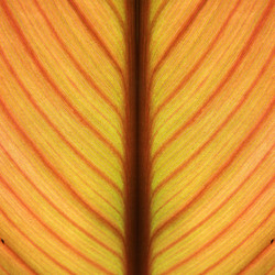 Similar image 888630