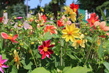 Similar image 888631