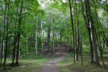 Similar image 888637