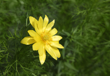 Similar image 888659