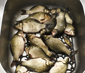 Similar image 888675